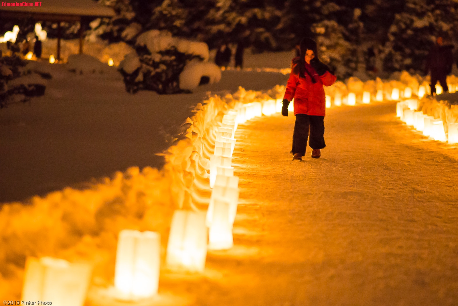 2013.Luminaria-3.jpg