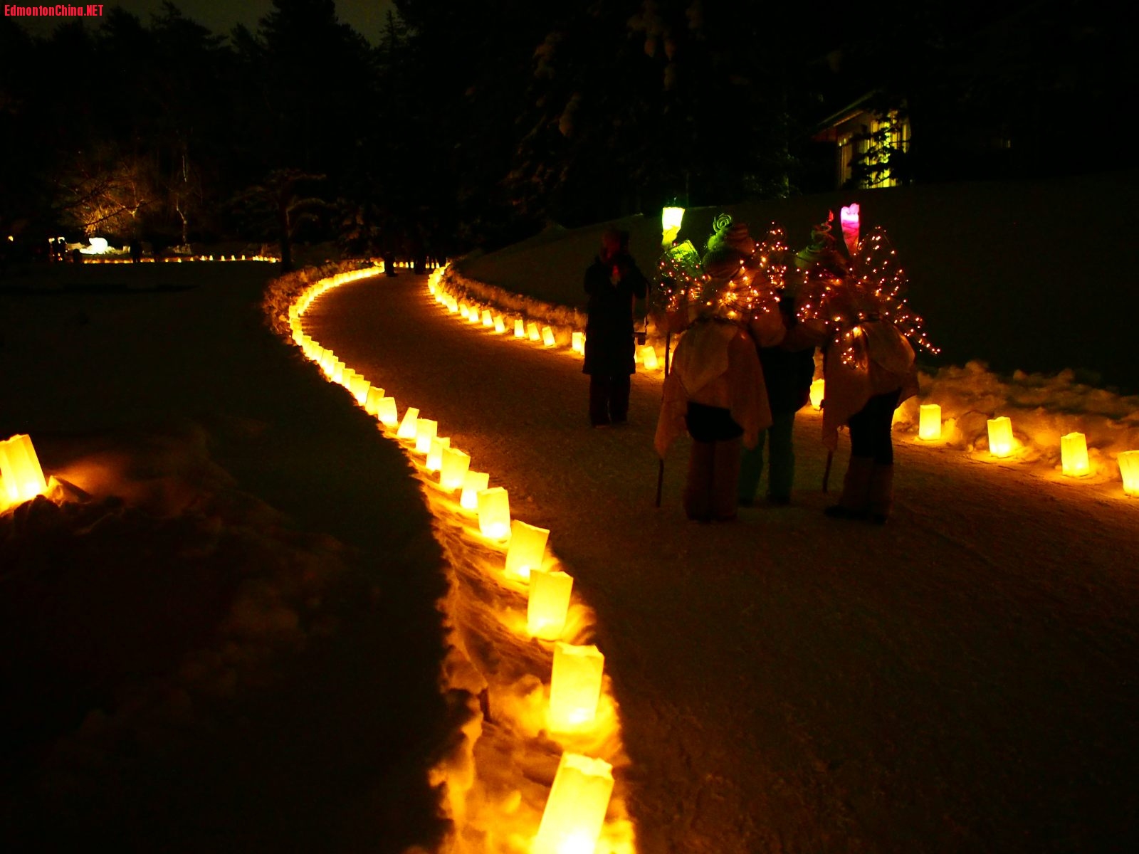 2013.Luminaria-15.JPG