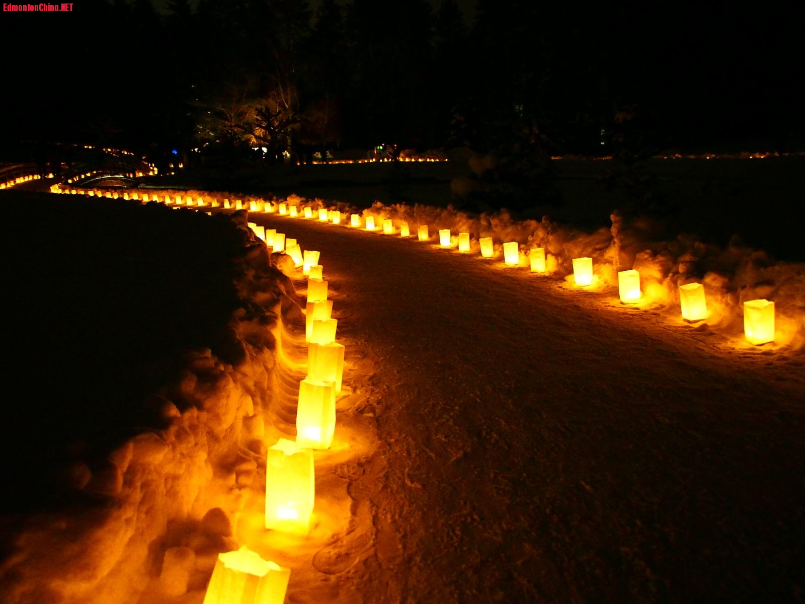 2013.Luminaria-16.JPG