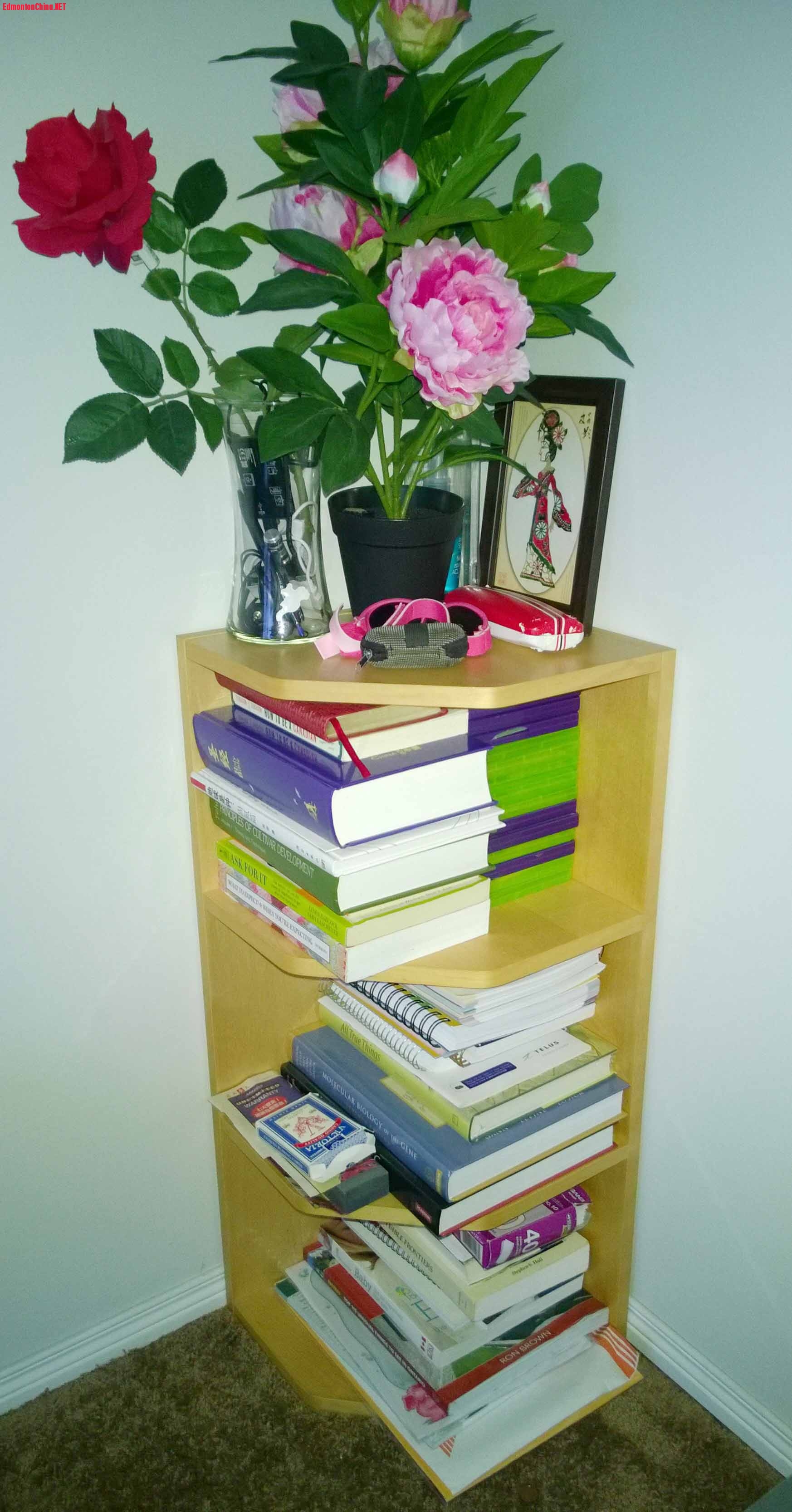 Corner bookshelf.jpg