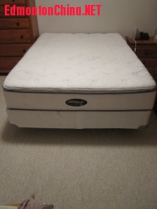 March 21 Optimized- Mattress 3.JPG