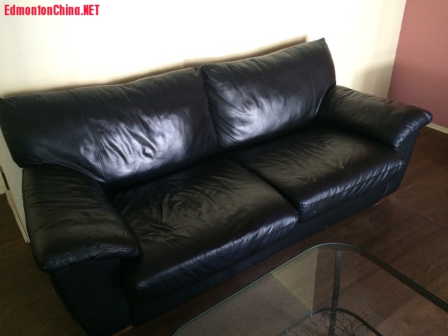 Sofa Bed: $200