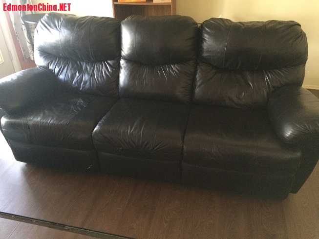 Leather Sofa: $150