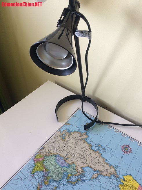 Table Lamp: $5