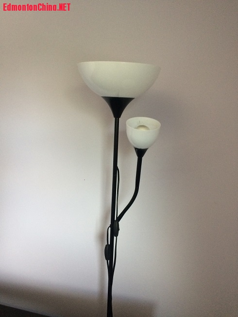 Floor Lamp: $10