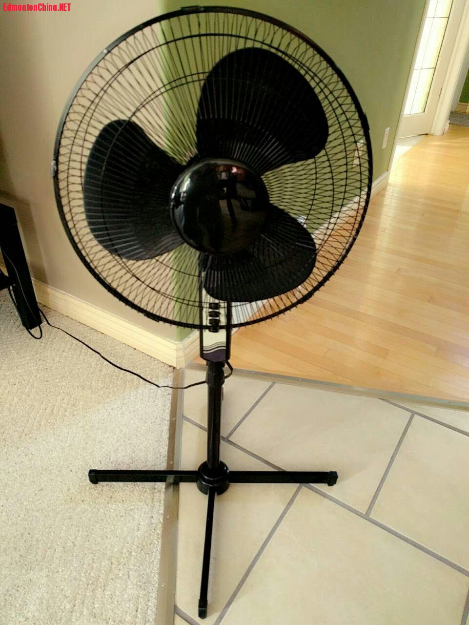 Fan -10