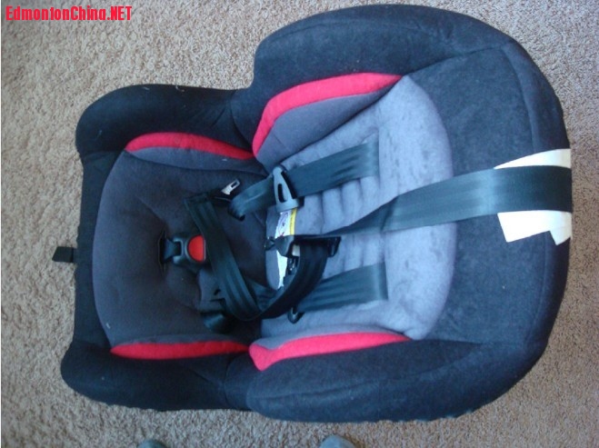 Car Seat (2018-10) $20.jpg