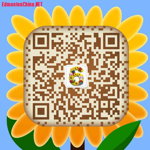 mmqrcode1460205418228.png.jpg