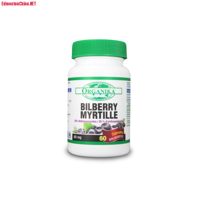 Bilberry-myrtille.jpg