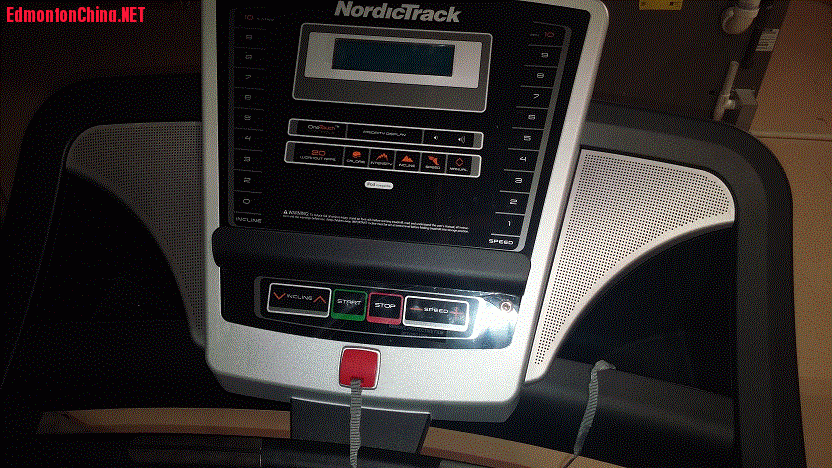 treadmill 2.gif