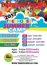 2017 Treehouse summer camp poster