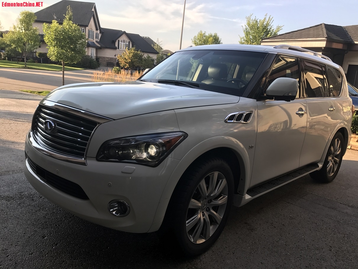 Infiniti QX 80  (8).JPG