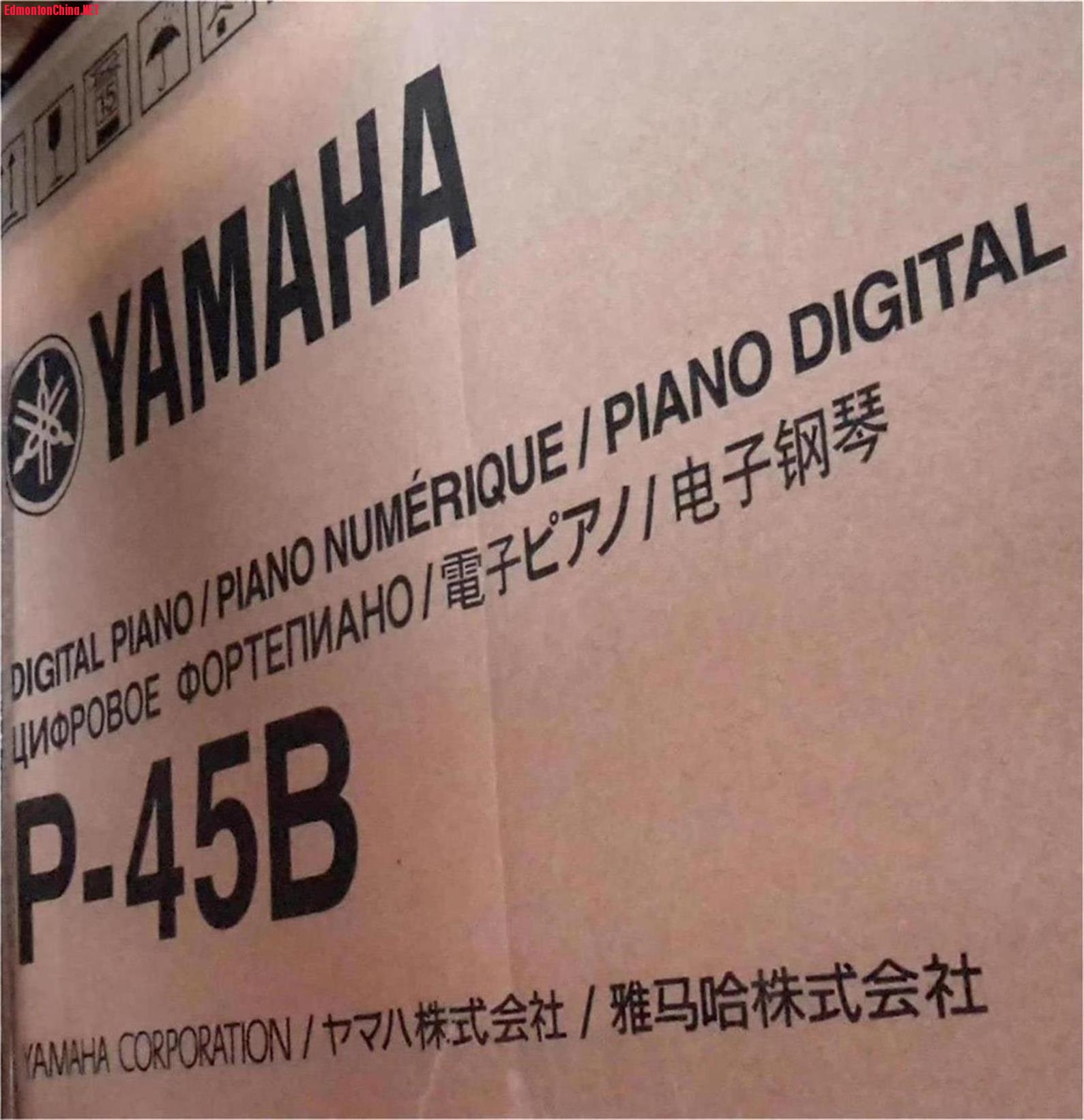 YAMAHA brand.jpg