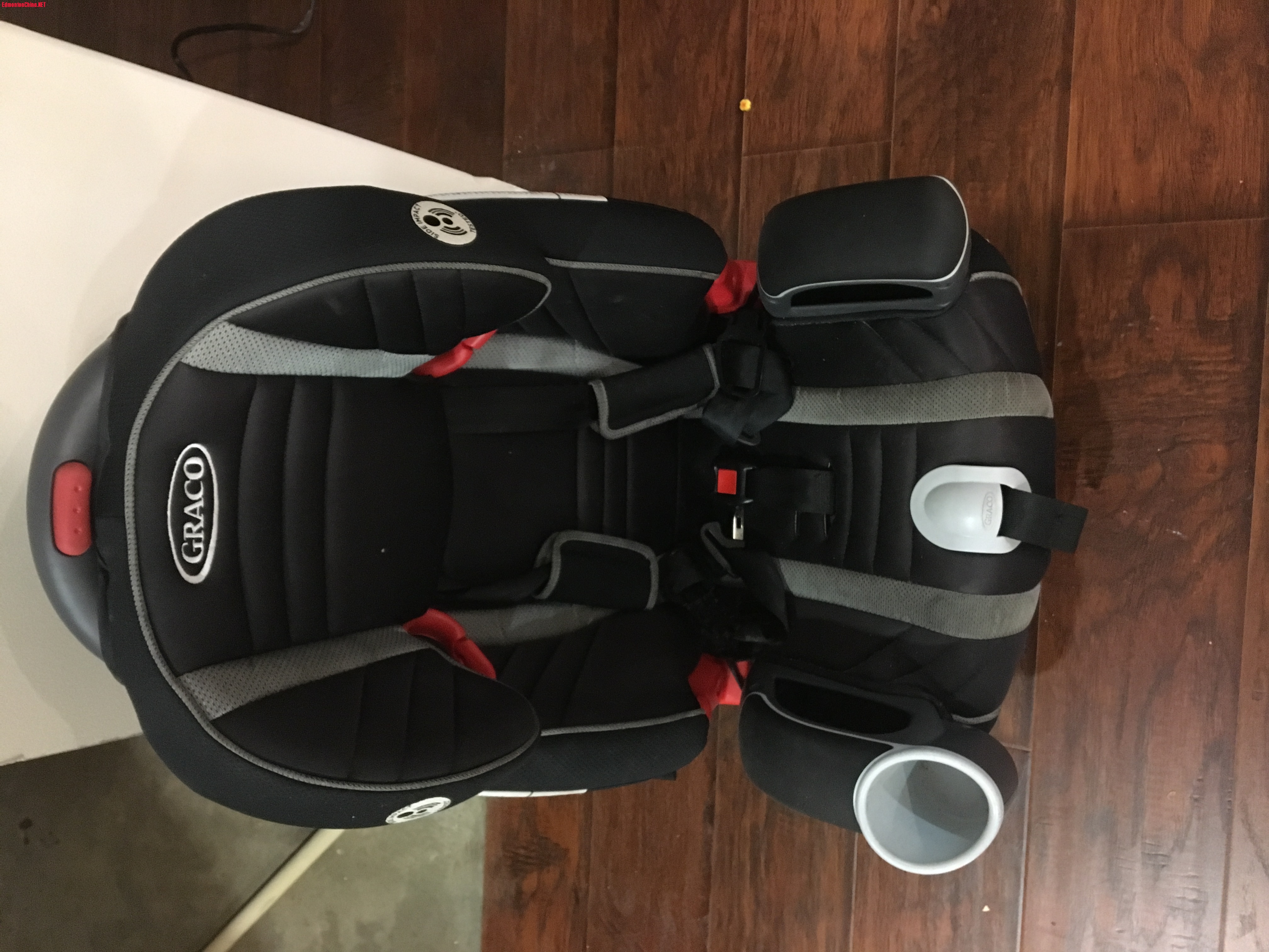 carseat1.JPG